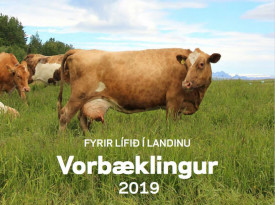 Vorbklingur Lflands 2019
