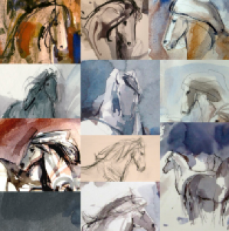 Hestar/Horses/Pferde by Pétur Behrens