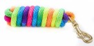 Lead rope rainbow colour