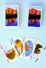 Deck of cards with horse pictures
