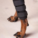 BoT Dog Leg Brace front