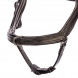 Eques Start Up bridle