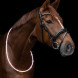 LED neck strap for horses