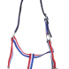 Top Reiter halter and lead rope