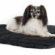 BoT dog bed oval