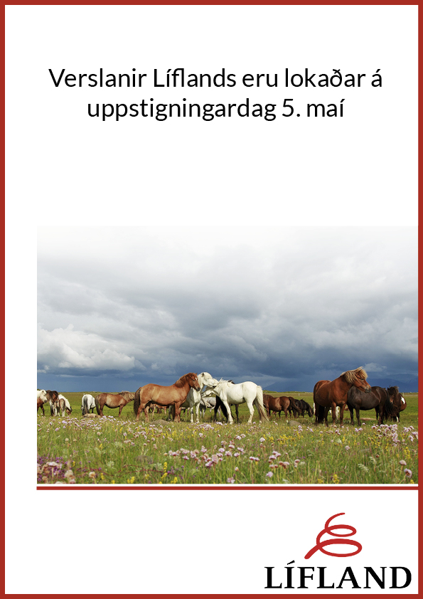 Uppstigningardagur 2016