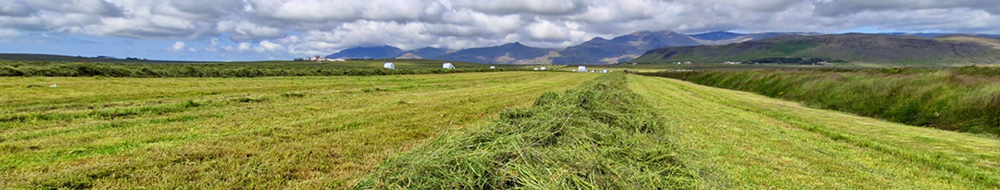 Sláttur
