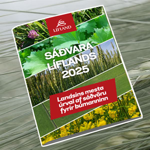 Svara 2025