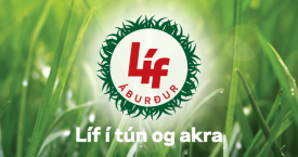 Lf burinn fru hj Lflandi