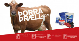 orrarll Lflands 2019