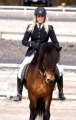 Nordic Championship for Icelandic Horses 2012