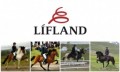 Líflandslið KS-Deildarinnar 2016