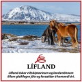 Gleðileg jól