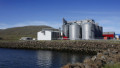 Lífland lækkar verð á öllu nautgripafóðri