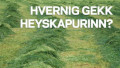 Heysýnataka Líflands 2022