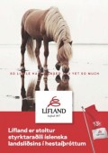 Heimsmeistaramót íslenska hestsins verður haldið í Hollandi 7-14. ágúst 2017.