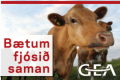 Fundir með ráðgjafa frá GEA