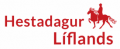 Vinningshafar í happdrætti