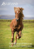 Hestafóðrunarbæklingurinn okkar