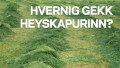 Heysýnataka á vegum Líflands