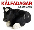 Kálfadagar í Lífandi
