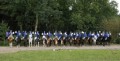 Nr listjri landslis slands  hestarttum