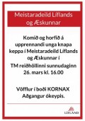 Meistaradeild Lflands og skunnar 26. mars