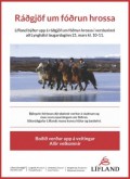 Ráðgjöf um fóðrun hrossa