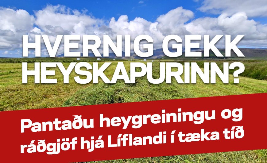 Heysýnataka Líflands 2026
