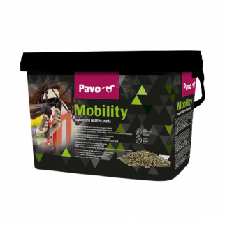 PAVO Mobility