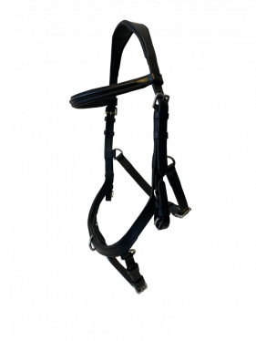 Training bridle 