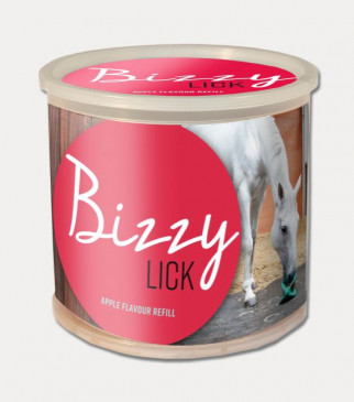 Bizzy leiksteinn áfylling 1kg