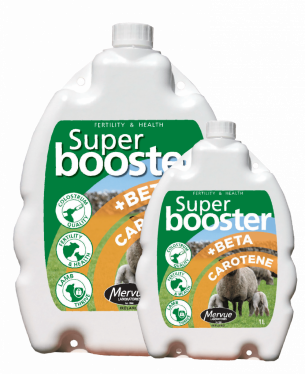 Super Booster fyrir sauðfé 2,5 lítrar