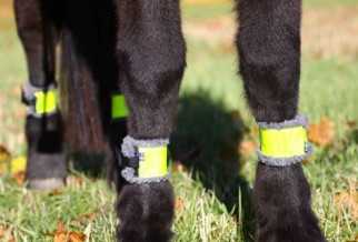 Reflective bands on feet