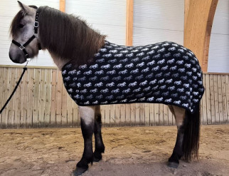 Kidka wool blanket Fákur black/horses