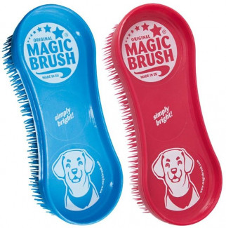 Magic Brush bursti 