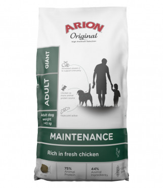 Arion Original Maintenance - Giant