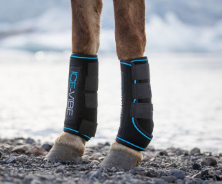 Horseware Ice-Vibe - Mynd: Liga Liepina