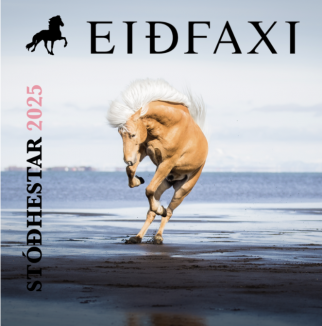 Stóðhestar bók 2025 