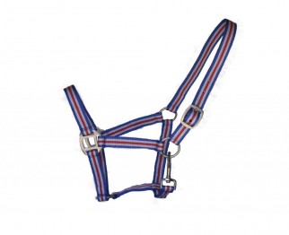 Flag coloured halter