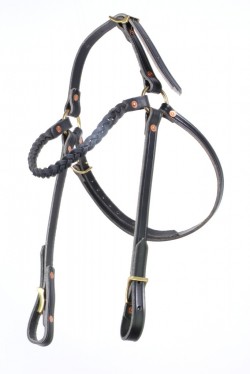 Headstall 