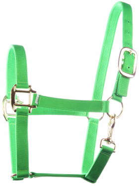 Nylon halter