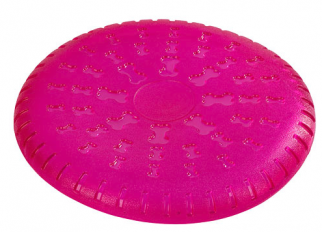 ToyFastic frisbee diskur