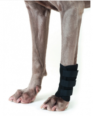 BoT Dog Leg Brace front