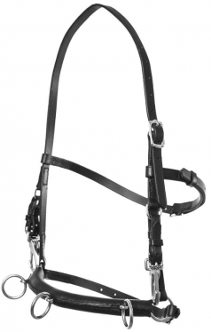 Top Reiter lunging bridle