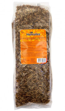 Hercules þurrkaðir mjölormar 500g