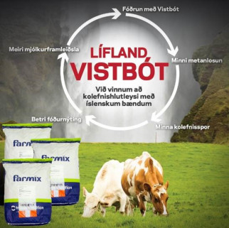 Búkolla Hámrk með Vistbót
