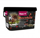 Pavo MuscleBuild