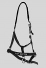 Top Reiter halter + lead rope