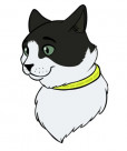 Reflective collar for cats